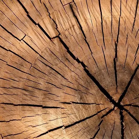 Courchecoeur Courchevel