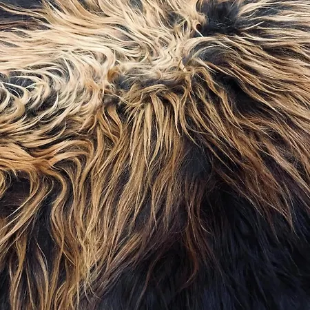 Apartman Courchecoeur Courchevel